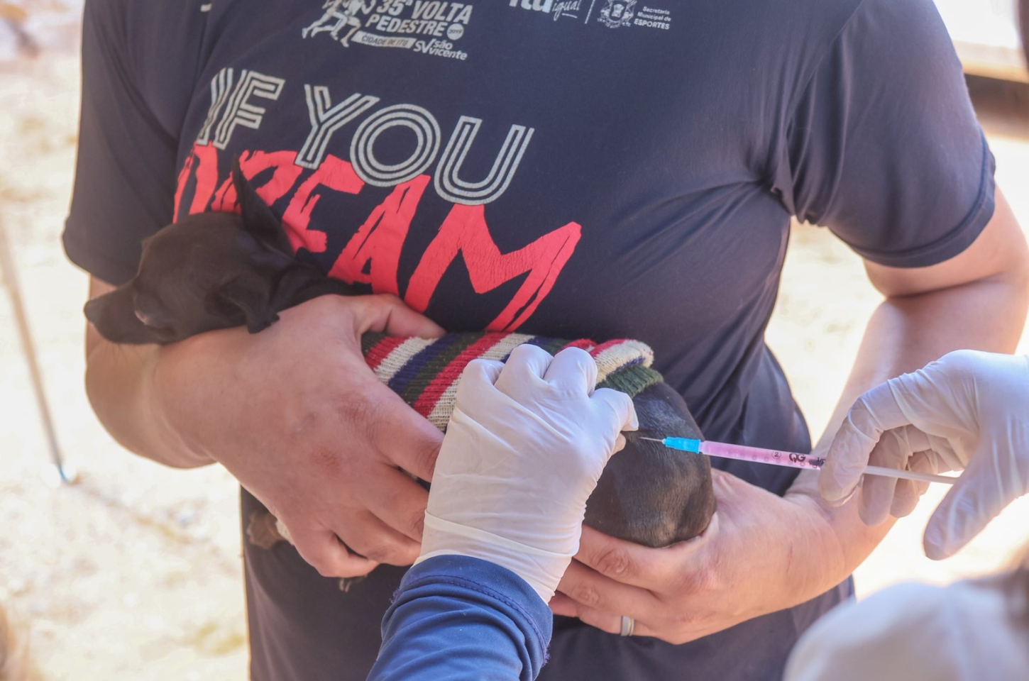 Vacinação antirrábica gratuita pode ser agendada por WhatsApp em Piedade