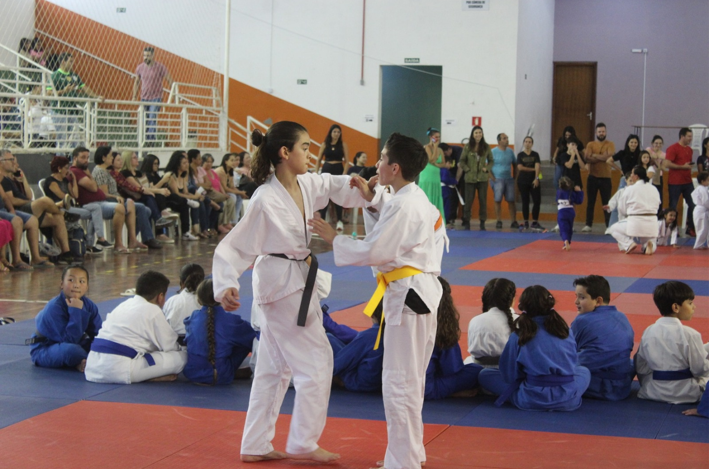 XV Torneio aberto de Judô será realizado domingo em Piedade