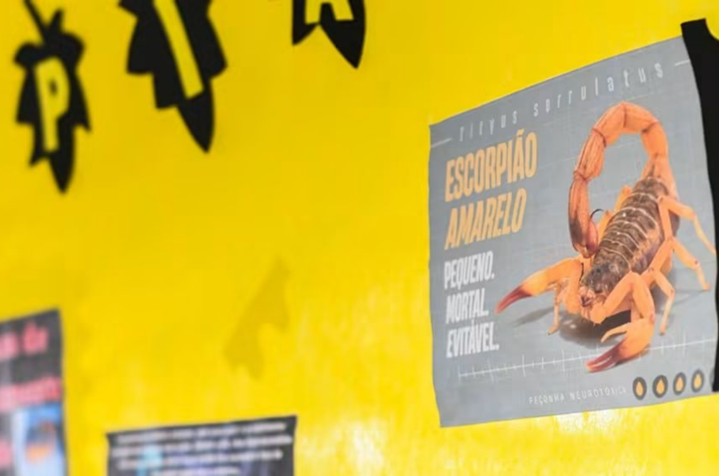 Moradores recebem orientações contra escorpiões em Piedade