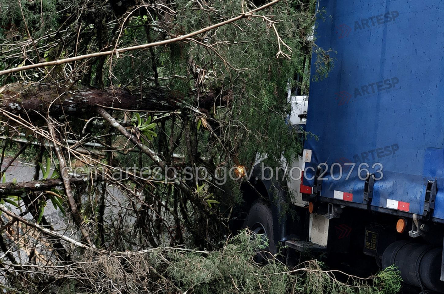Árvore cai sobre caminhão na SP-079, em Tapiraí